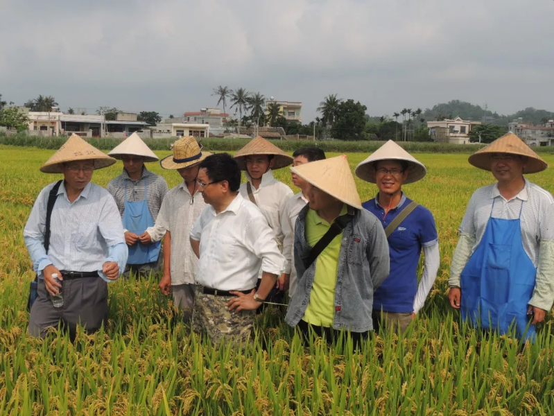 万建民院士.png