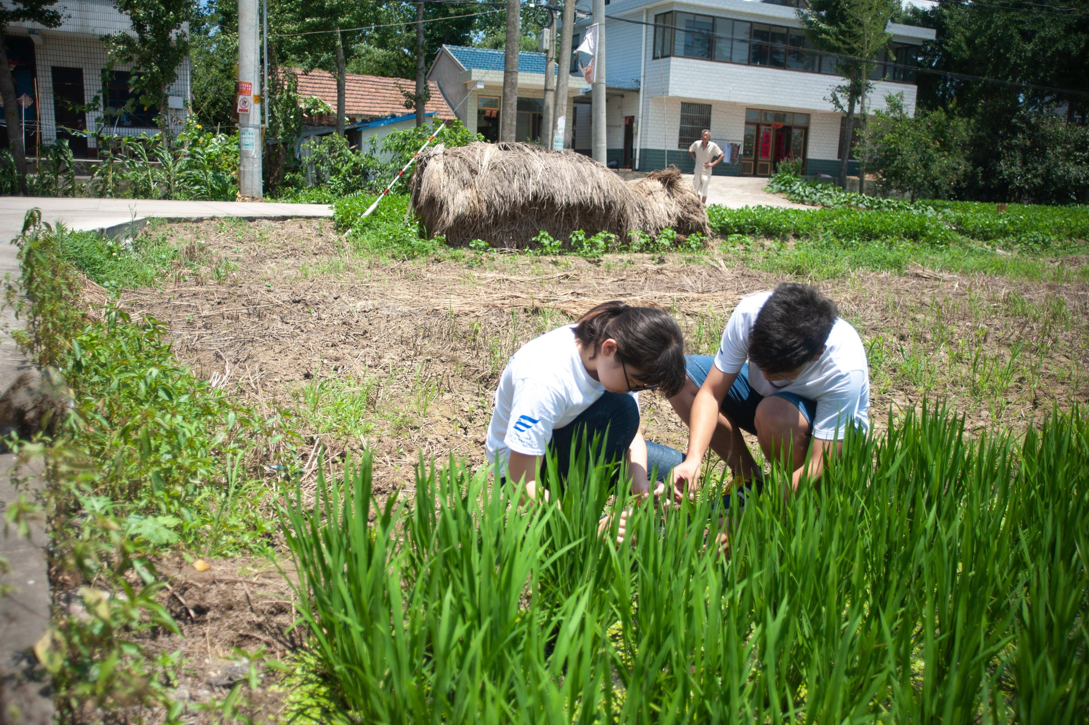 学生进行土壤取样