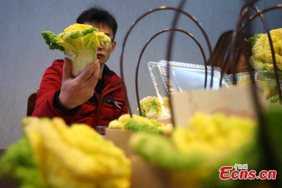 【中新网】Rose-like Chinese cabbage in high demand